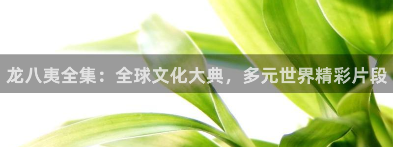 赢乐彩票体育凯捷平台注册：龙八夷全集：全球文化大典，多元世界精彩片段