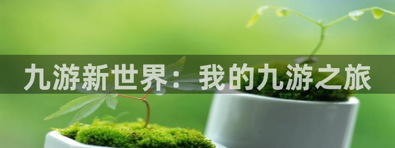 赢乐彩票4开户：九游新世界：我的九游之旅