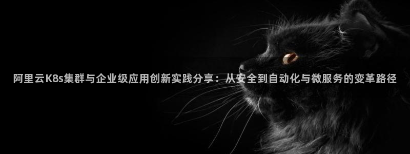 赢乐彩票平台在线注册：阿里云K8s集群与企业级应用创新实践分享：从安全到自动化与