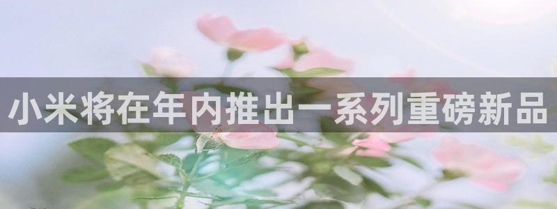 赢乐彩票4登录：小米将在年内推出一系列重磅新品