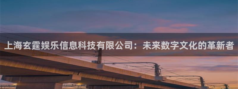 赢乐彩票股份：上海玄霆娱乐信息科技有限公司：未来数字文化的革新者