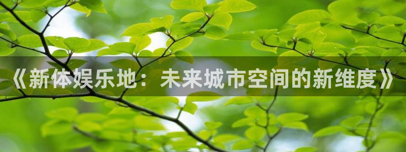 赢乐彩票3登陆：《新体娱乐地：未来城市空间的新维度》