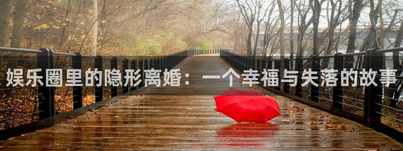 赢乐彩票4代理：娱乐圈里的隐形离婚：一个幸福与失落的故事
