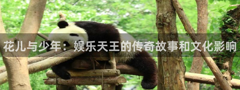赢乐彩票股份：花儿与少年：娱乐天王的传奇故事和文化影响