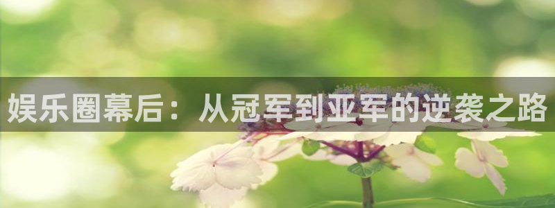 赢乐彩票登录注册：娱乐圈幕后：从冠军到亚军的逆袭之路