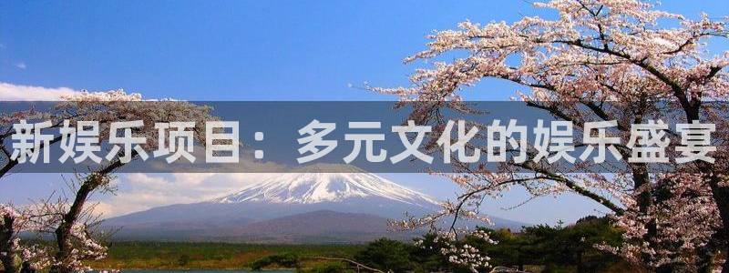 赢乐彩票集团官网：新娱乐项目：多元文化的娱乐盛宴