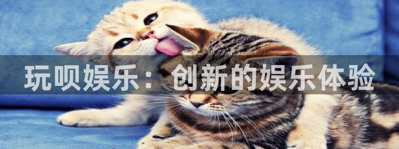 赢乐彩票零能源集团：玩呗娱乐：创新的娱乐体验