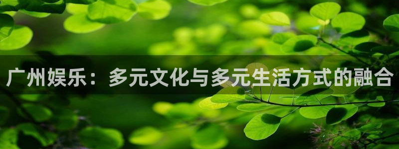 赢乐彩票4平台：广州娱乐：多元文化与多元生活方式的融合