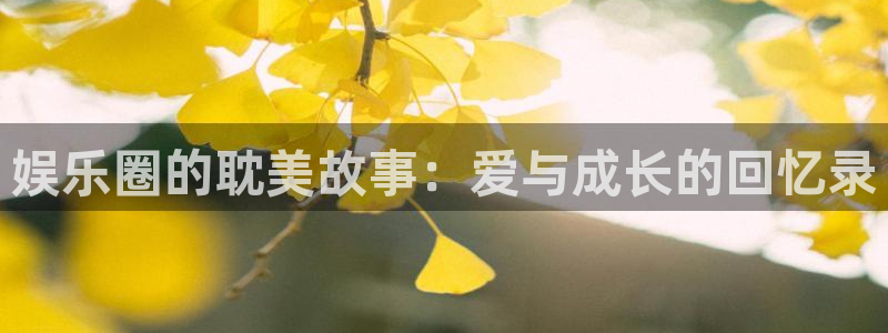 赢乐彩票体育凯捷平台主管：娱乐圈的耽美故事：爱与成长的回忆录