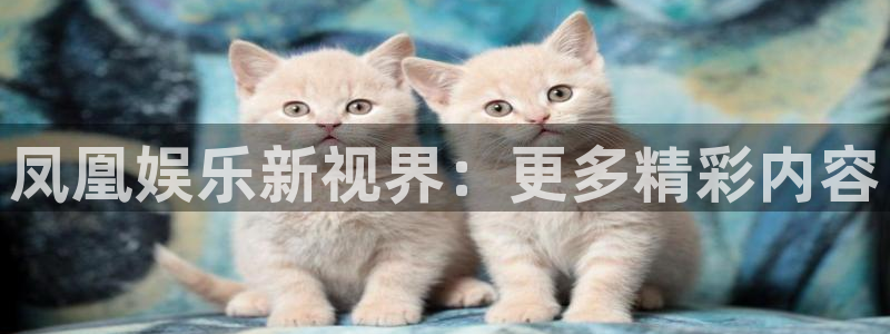 赢乐彩票2代理注册：凤凰娱乐新视界：更多精彩内容