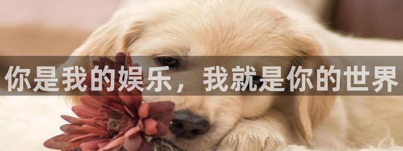德国赢乐彩票集团：你是我的娱乐，我就是你的世界