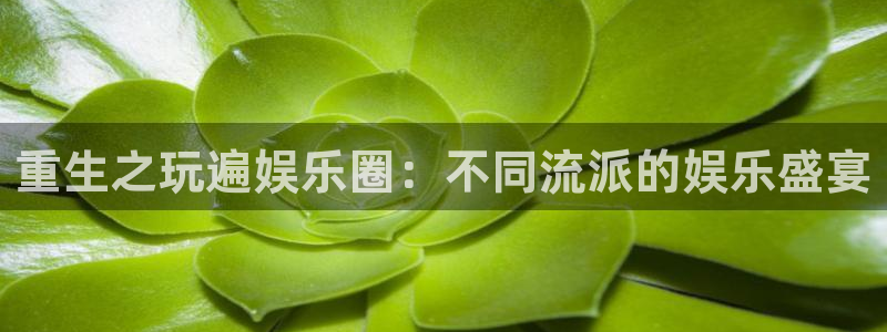 赢乐彩票vk：重生之玩遍娱乐圈：不同流派的娱乐盛宴