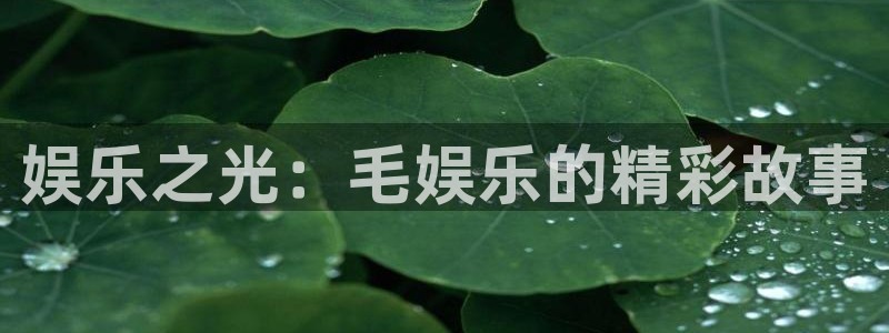 赢乐彩票3官网登录：娱乐之光：毛娱乐的精彩故事