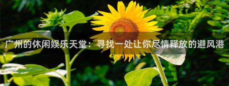 赢乐彩票环保：广州的休闲娱乐天堂：寻找一处让你尽情释放的避风港