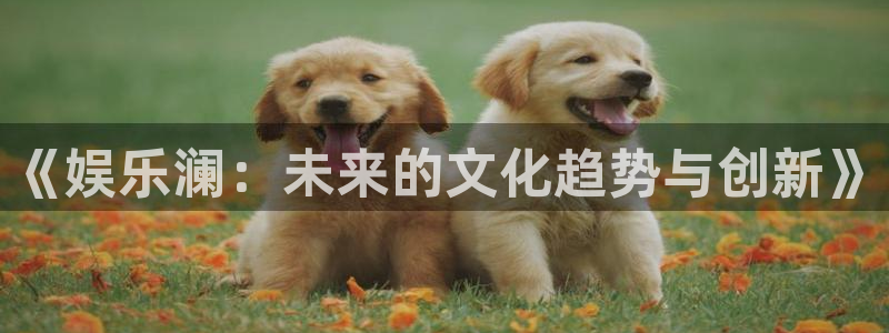 赢乐彩票2平台：《娱乐澜：未来的文化趋势与创新》