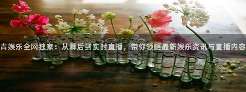 赢乐彩票4代理：青娱乐全网独家：从幕后到实时直播，带你领略最新娱乐资讯与直播内容
