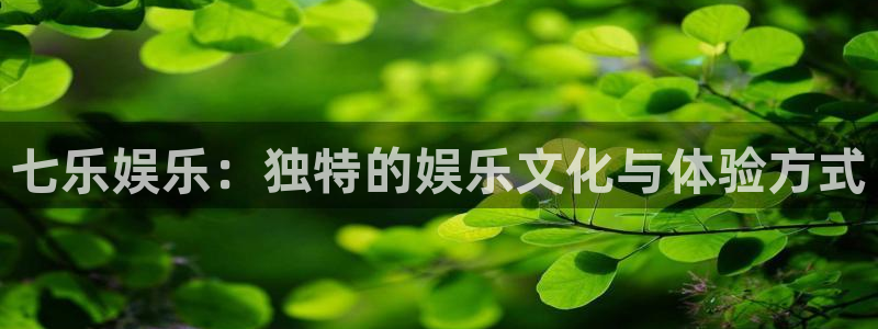 福建赢乐彩票机电股份公司：七乐娱乐：独特的娱乐文化与体验方式