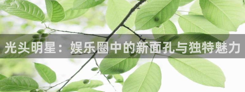 赢乐彩票体育代理申请流程：光头明星：娱乐圈中的新面孔与独特魅力