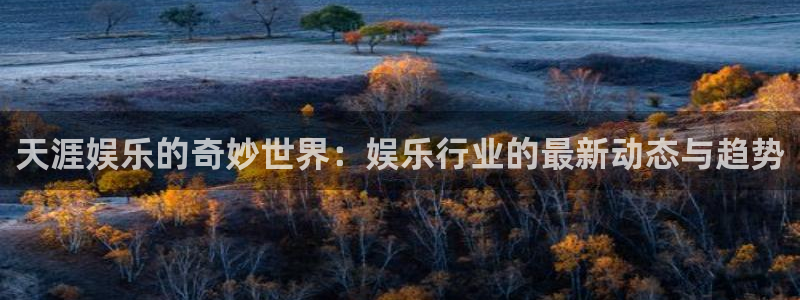 赢乐彩票体育官网：天涯娱乐的奇妙世界：娱乐行业的最新动态与趋势