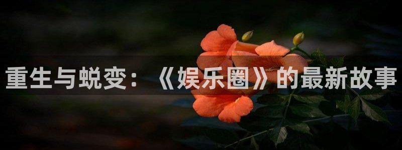 赢乐彩票体育论坛：重生与蜕变：《娱乐圈》的最新故事