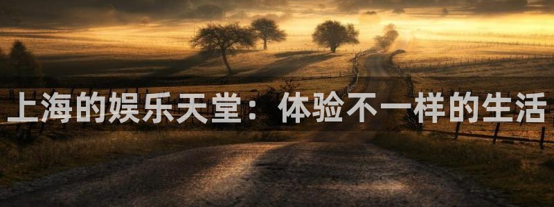 赢乐彩票4代理：上海的娱乐天堂：体验不一样的生活