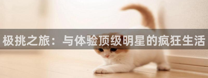 赢乐彩票体育娱乐注册链接：极挑之旅：与体验顶级明星的疯狂生活