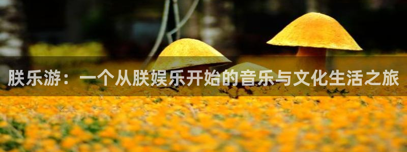 赢乐彩票2登录入口：朕乐游：一个从朕娱乐开始的音乐与文化生活之旅
