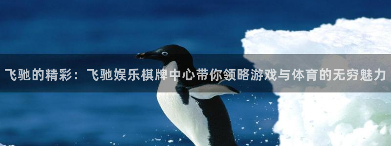 赢乐彩票集团总部：飞驰的精彩：飞驰娱乐棋牌中心带你领略游戏与体育的无穷魅力
