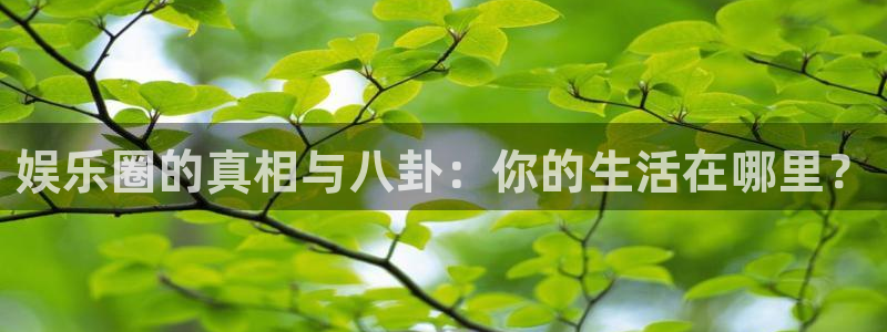 赢乐彩票5招商：娱乐圈的真相与八卦：你的生活在哪里？