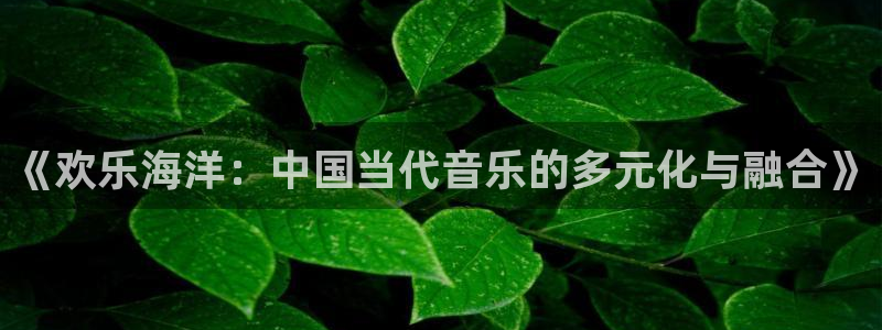 赢乐彩票登陆：《欢乐海洋：中国当代音乐的多元化与融合》
