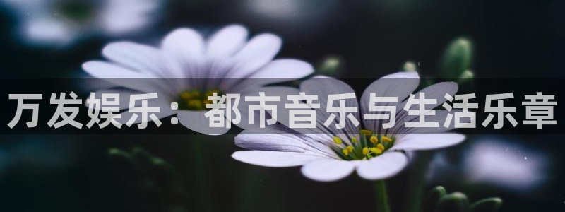 赢乐彩票登录注册：万发娱乐：都市音乐与生活乐章