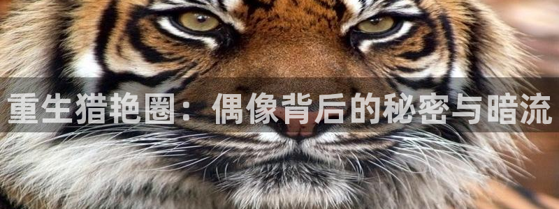 赢乐彩票集团官网：重生猎艳圈：偶像背后的秘密与暗流