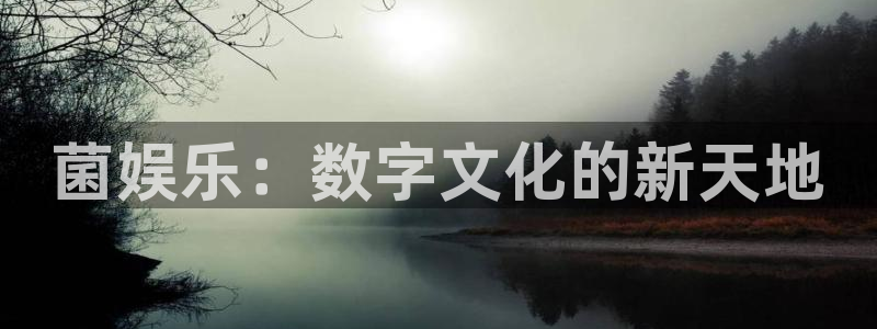 赢乐彩票官网注册：菌娱乐：数字文化的新天地